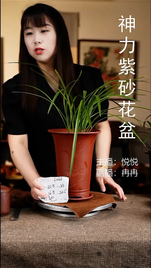 紫砂花盆花卉工艺3063+z