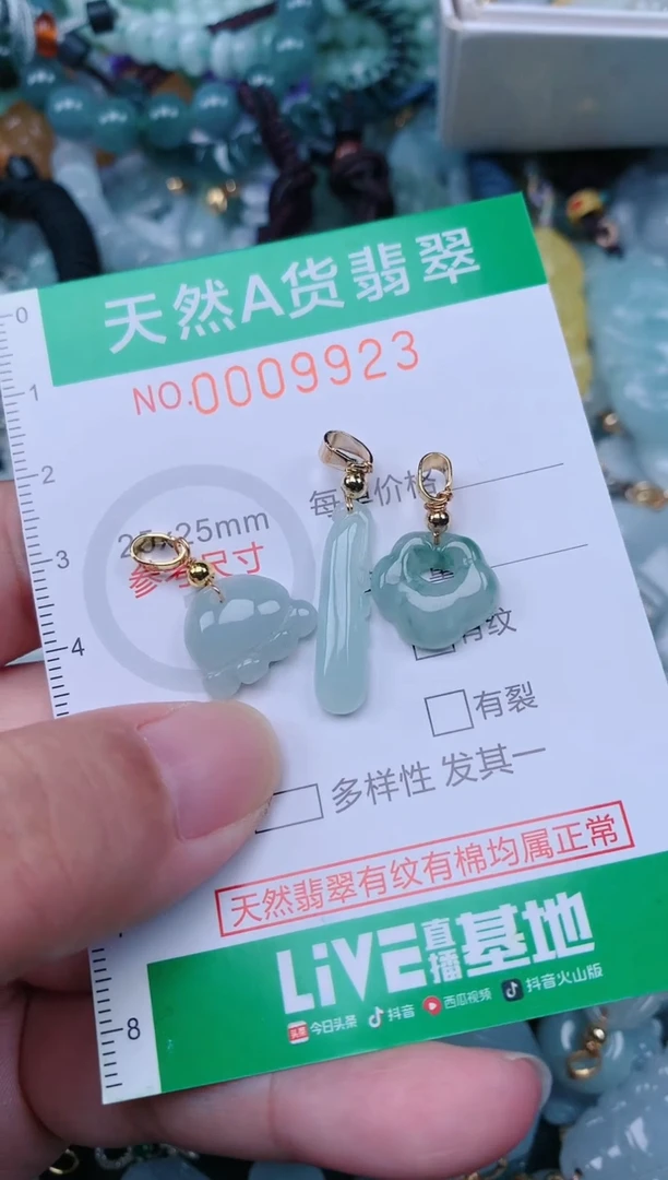 翡翠未镶嵌颈饰.0009923