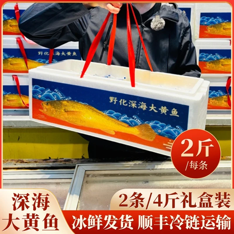 宁德深海冰鲜发货顺丰冷链 2条4斤带礼盒