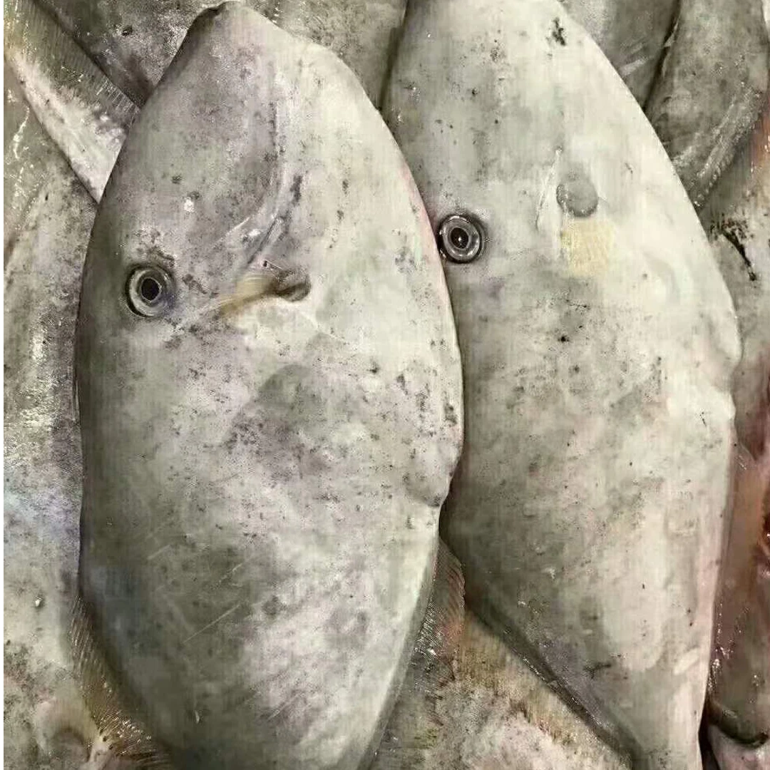 新鲜 扒皮鱼/马面鱼 厦门发货顺丰包邮