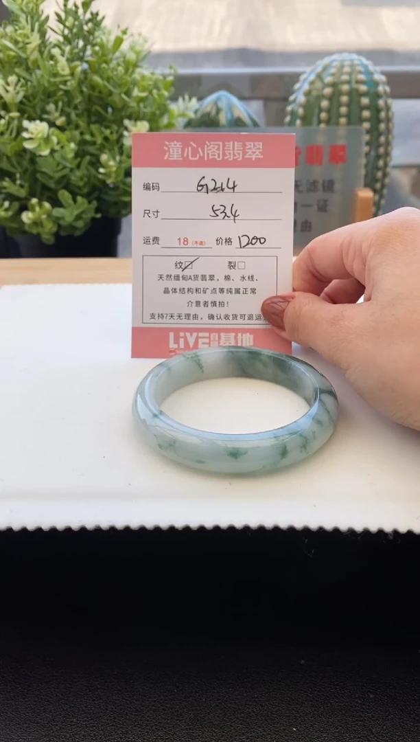 未镶嵌手镯翡翠53.4圈口 编码G214