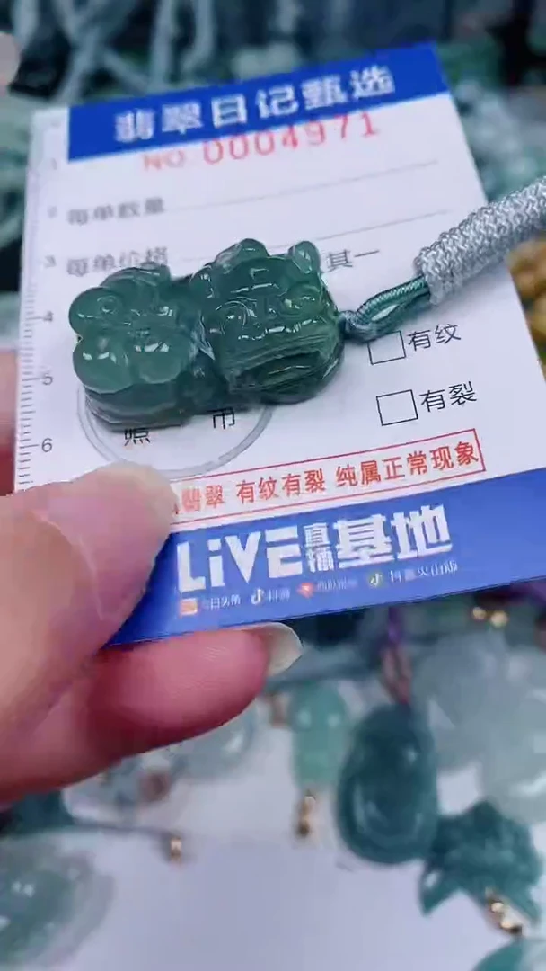 翡翠未镶嵌颈饰00004971