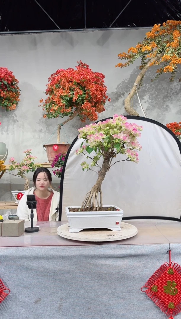 【闪购商品】盆景绿叶樱花