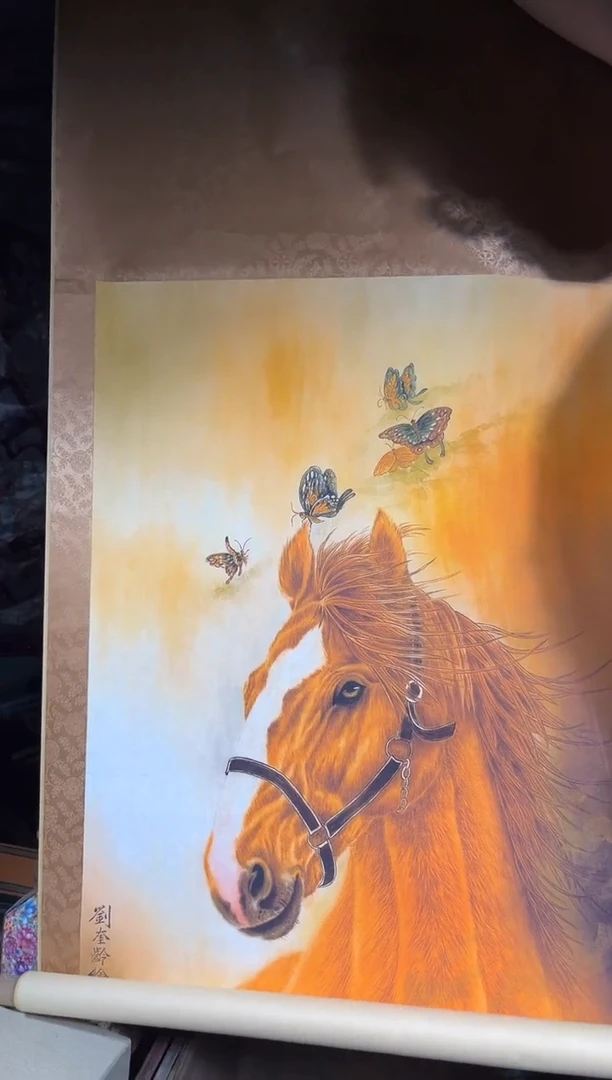 黄杨木11111111111111111111