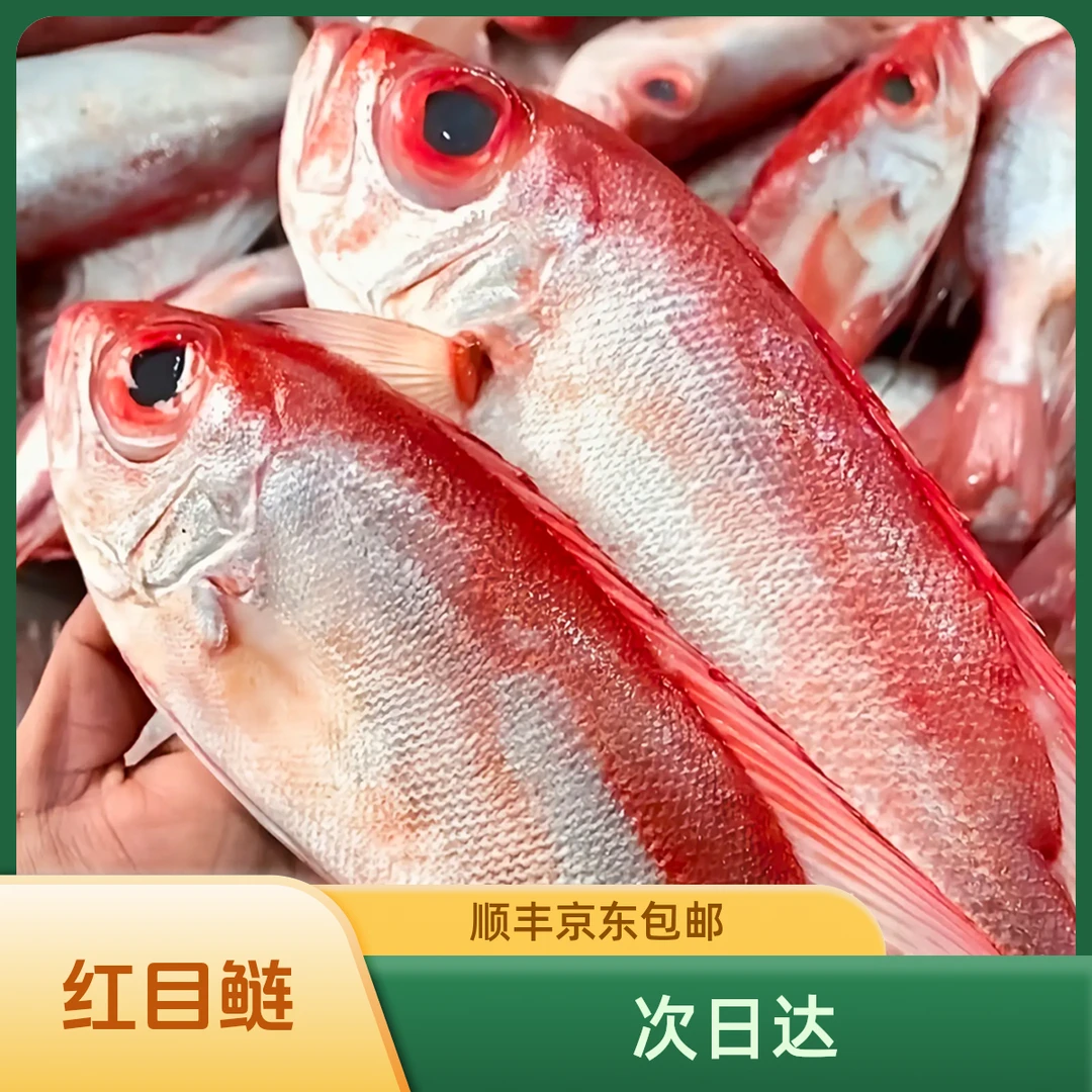 【明日必达】X纯野生大规格 红目鲢大眼鸡 顺丰包邮200-300g新鲜深海捕捞活鱼速冻肉质肥美营养丰富无小刺新鲜