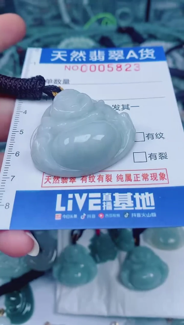 颈饰未镶嵌翡翠00005823