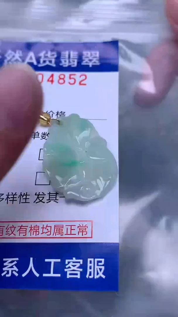 翡翠未镶嵌吊坠(不含链)1