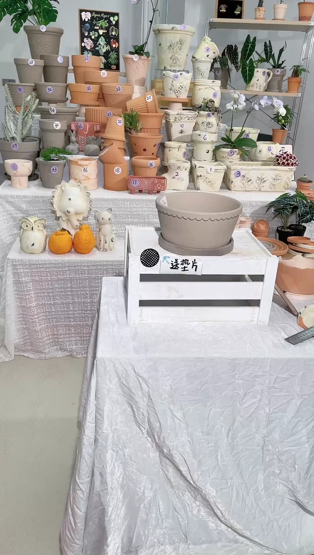 【闪购商品】陶1个带托 摩卡灰矮宽盆口径21*高10 