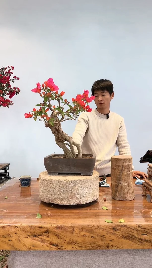 【闪购商品】AA925