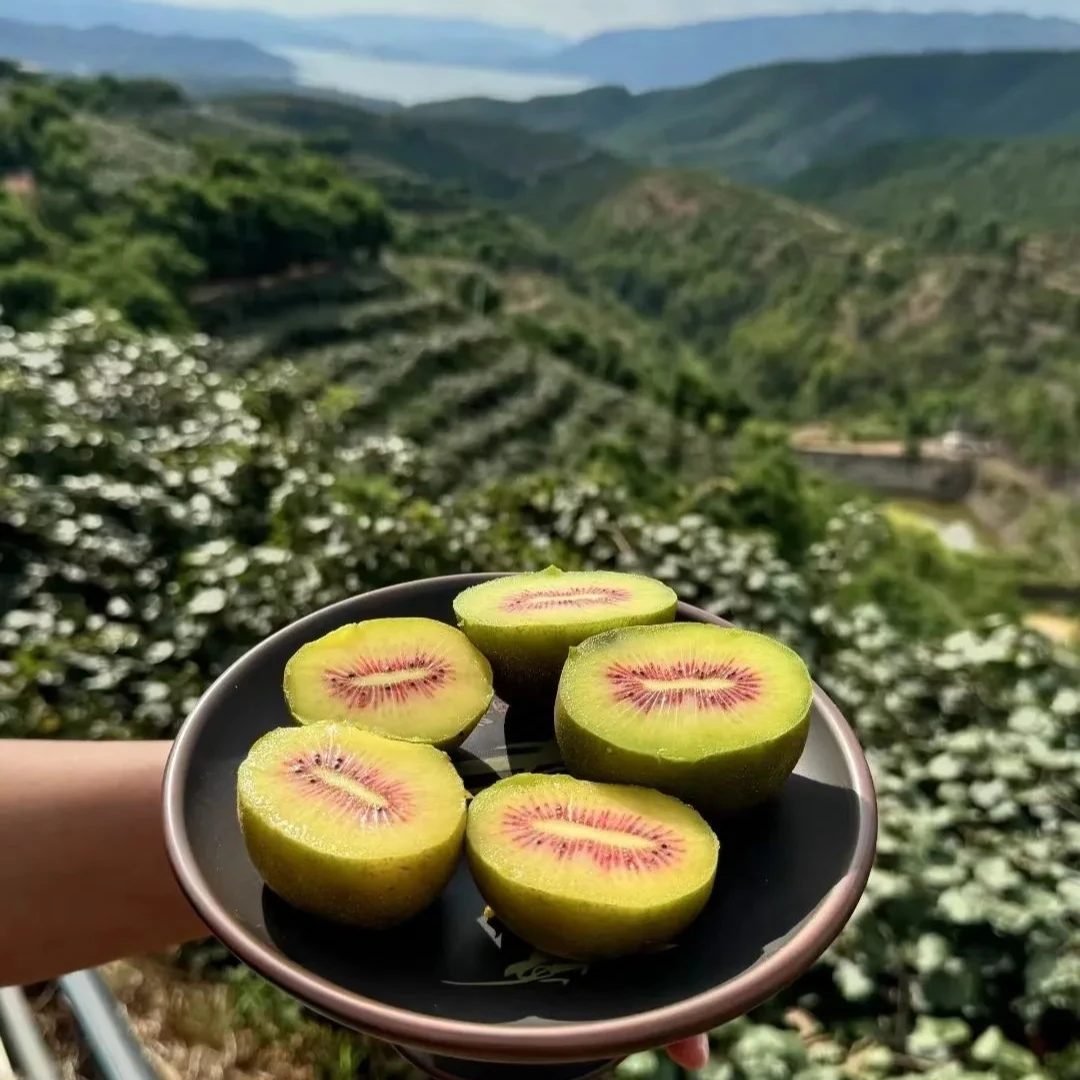 云南应季红心猕猴桃香甜多汁维C丰富 (产地果园直发水果)