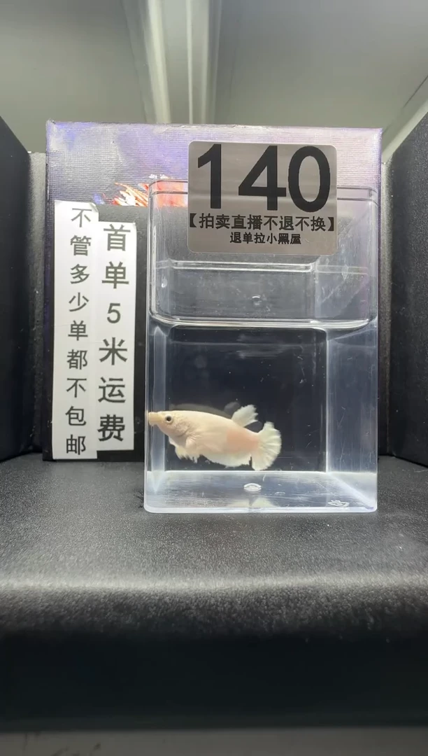 斗鱼母鱼编号：140