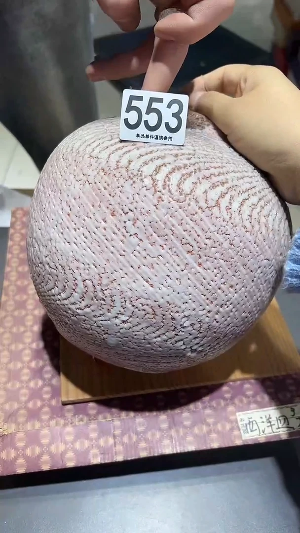 553...雪志野小三郎