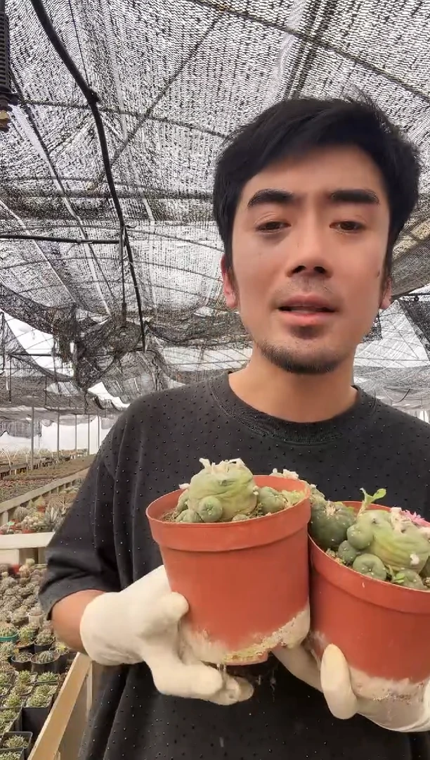 【闪购商品】108108108