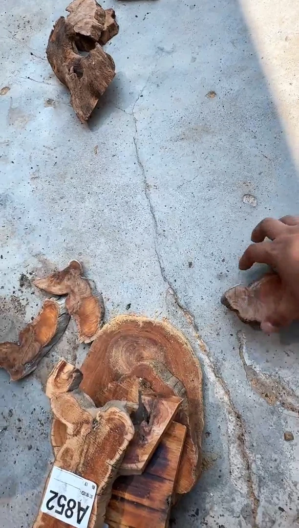 柏木太行山陈化崖柏随机一片852