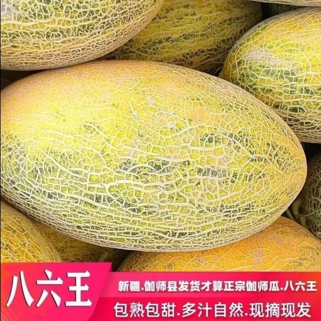 【京东陆运】正宗新疆哈密瓜八六王伽师瓜新鲜应季水果爆甜新疆直发