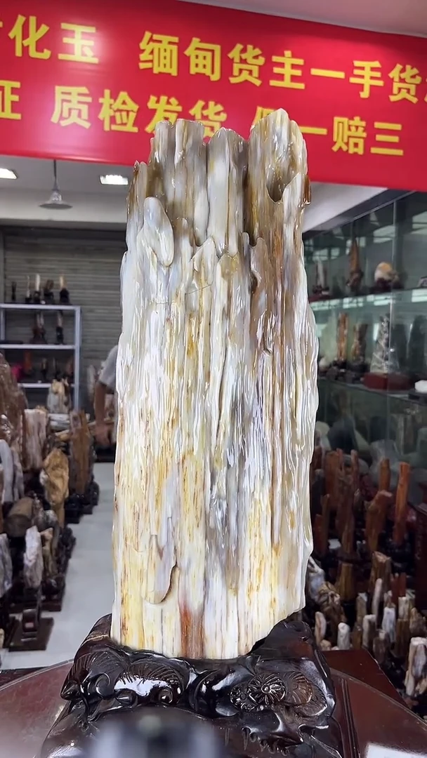 缅甸天然硅化木摆件