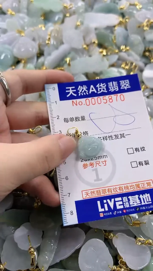 颈饰未镶嵌翡翠天然A货翡翠