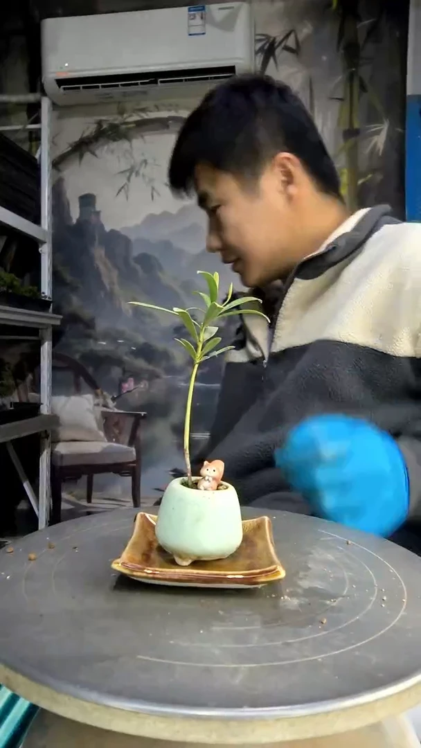 铭**?中青园艺一物一拍40