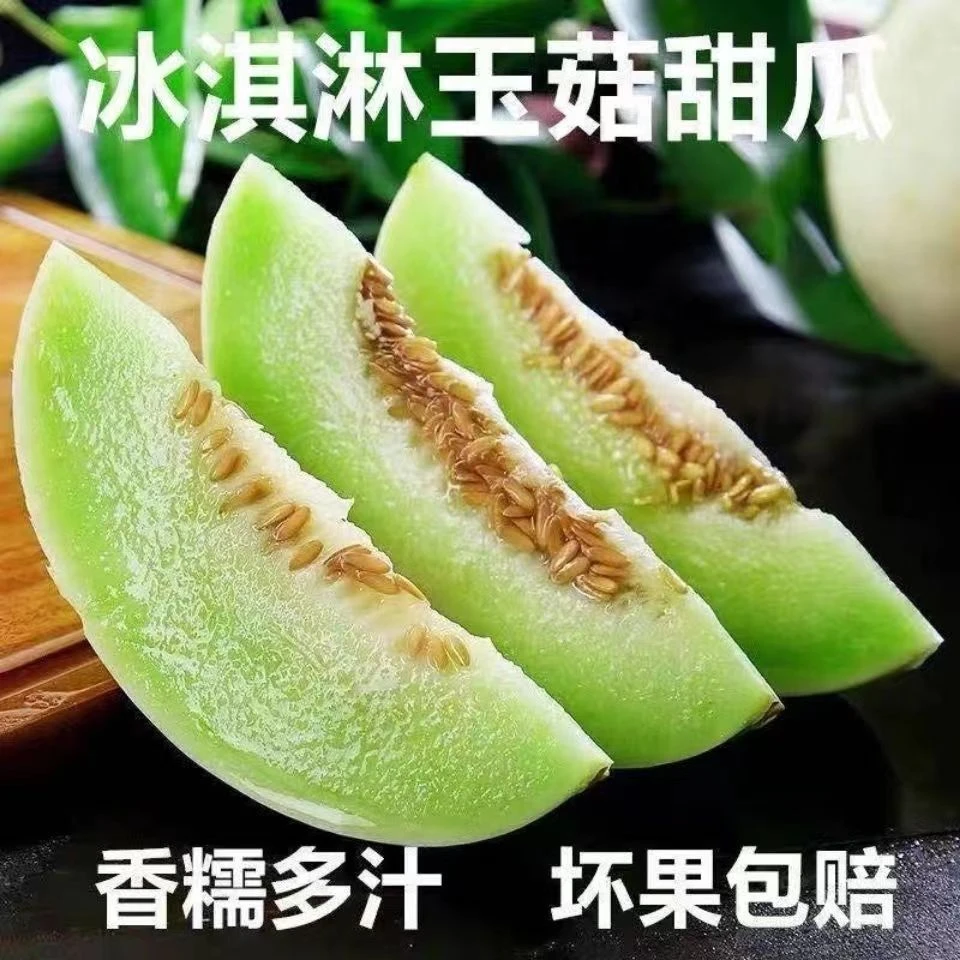 【年货节】海南玉菇甜瓜新鲜水果白玉菇香瓜蜜瓜白皮绿肉甜瓜包邮