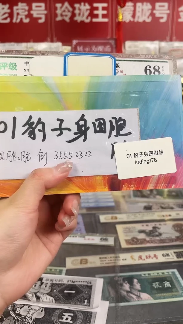 01豹子身四胞胎礼册