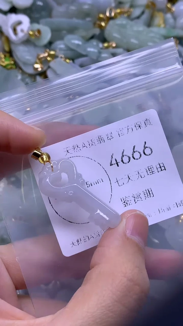 颈饰未镶嵌翡翠1