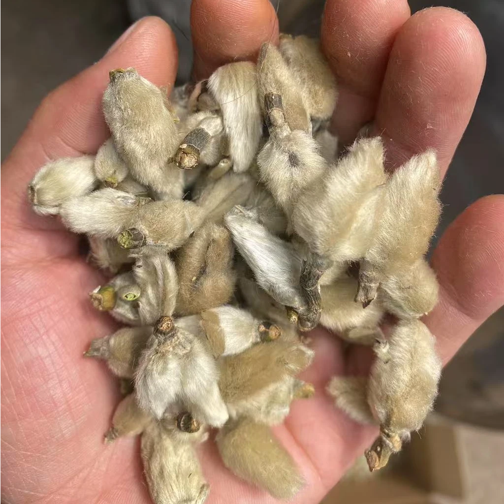 云南深山好物-{鼻通花}