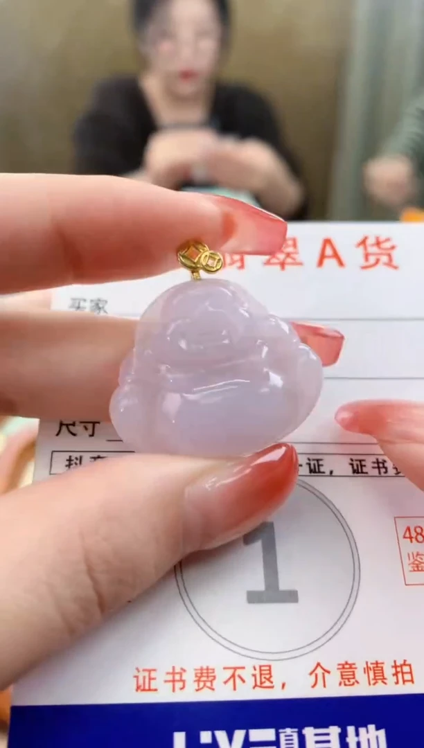 颈饰未镶嵌翡翠 天然A货翡翠挂件