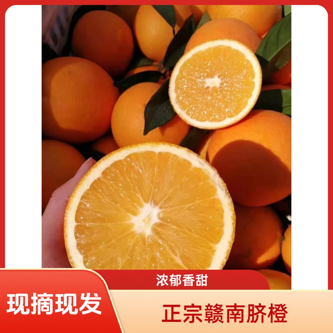 赣南脐橙正宗赣南脐橙现摘现发产地直发 应季水果橙子京东包邮