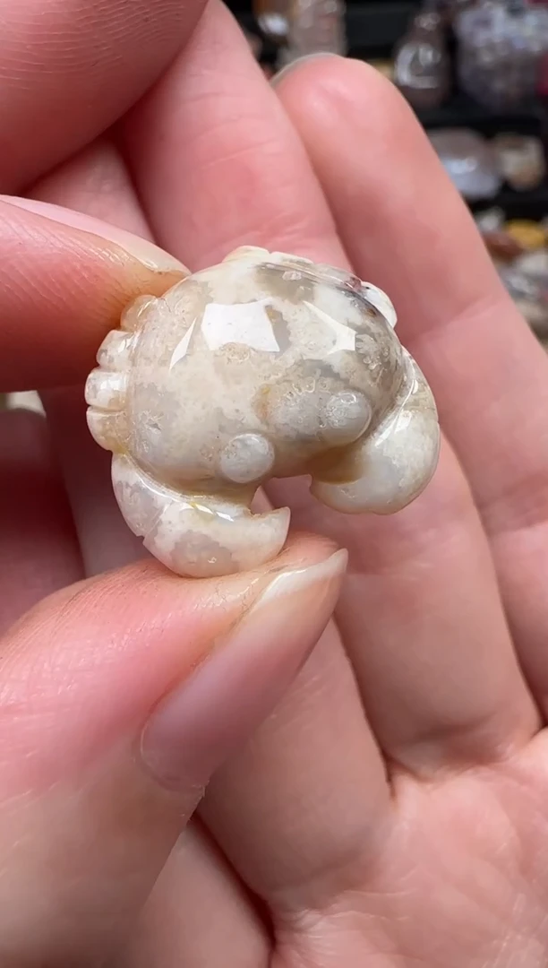 颈饰未镶嵌硅化珊瑚（珊瑚玉）329