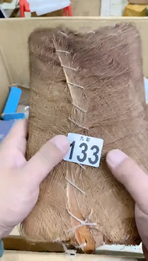 【闪购商品】瓷片133 2018@2020 2018@