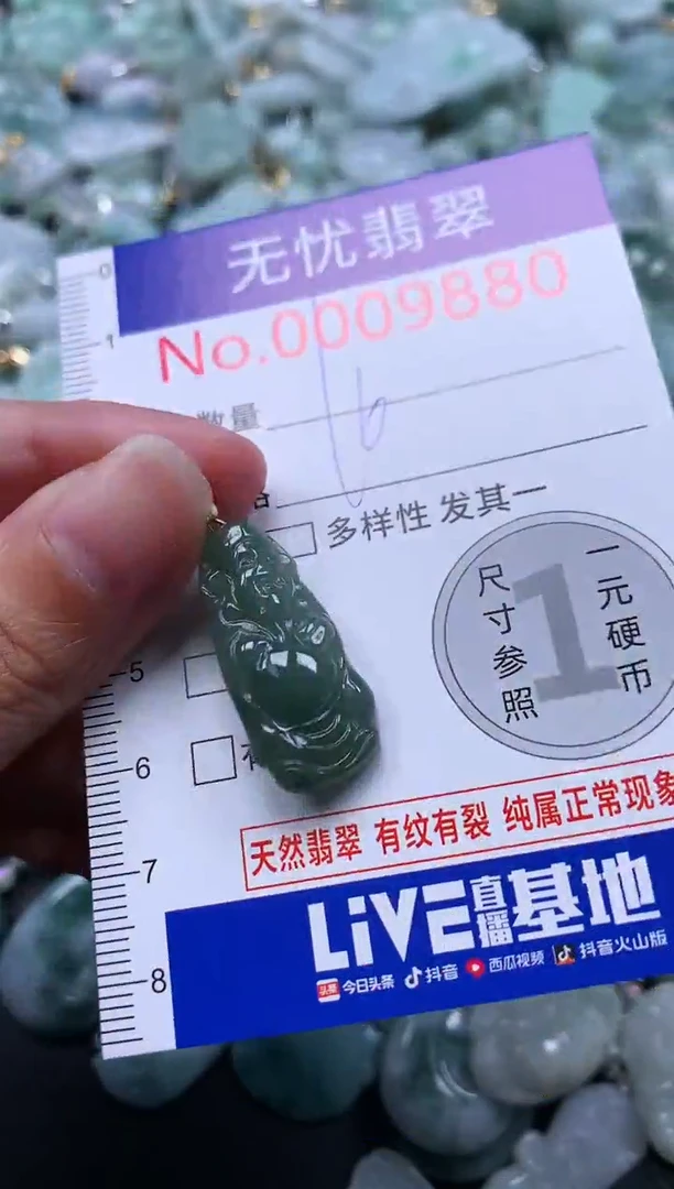 颈饰未镶嵌翡翠9880