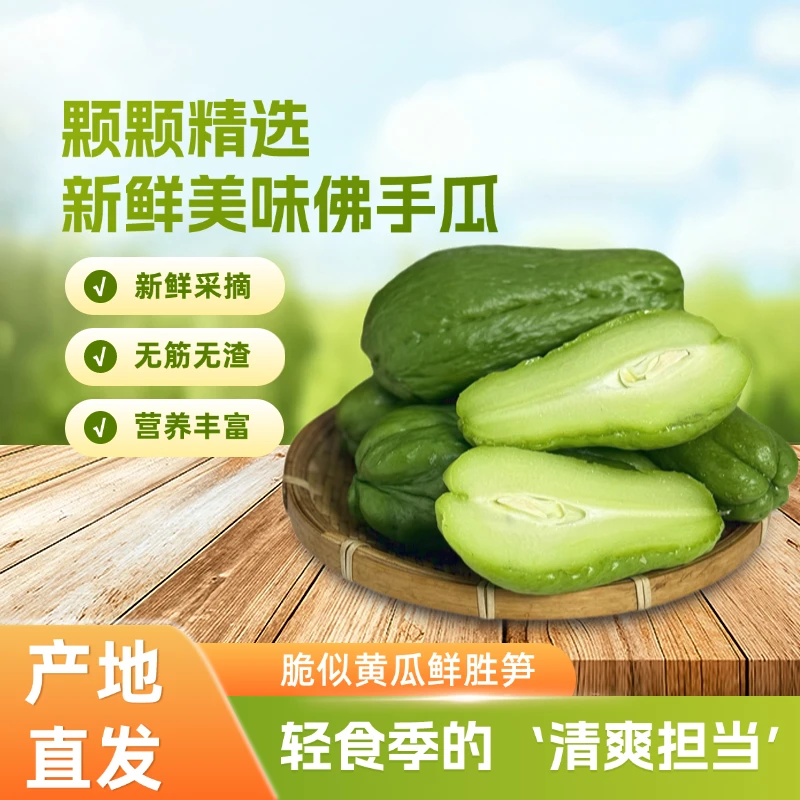 云南佛手瓜新鲜现摘福寿瓜洋丝瓜应季蔬菜清甜多汁