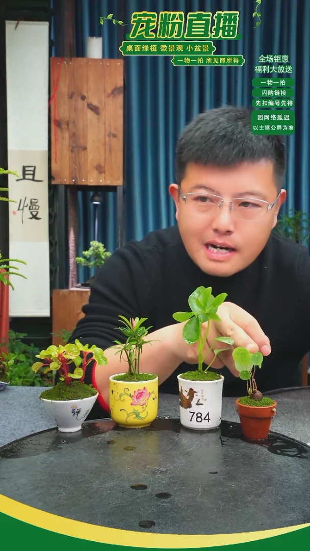 无花朵猫***️苔藓微景观784号