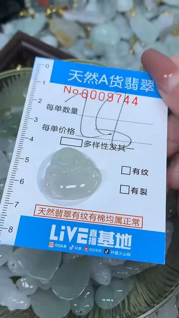 翡翠未镶嵌颈饰净货挂件-9744