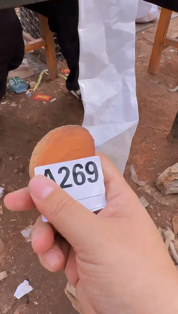 【闪购商品】柏木（崖柏）太行崖柏切片一片
