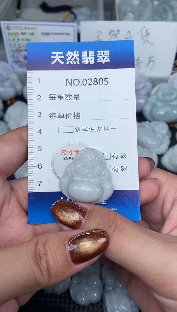 颈饰未镶嵌翡翠纯天然A货翡翠2805