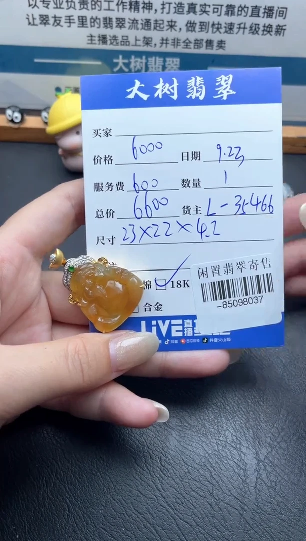 颈饰18K金镶嵌翡翠多人-85098037