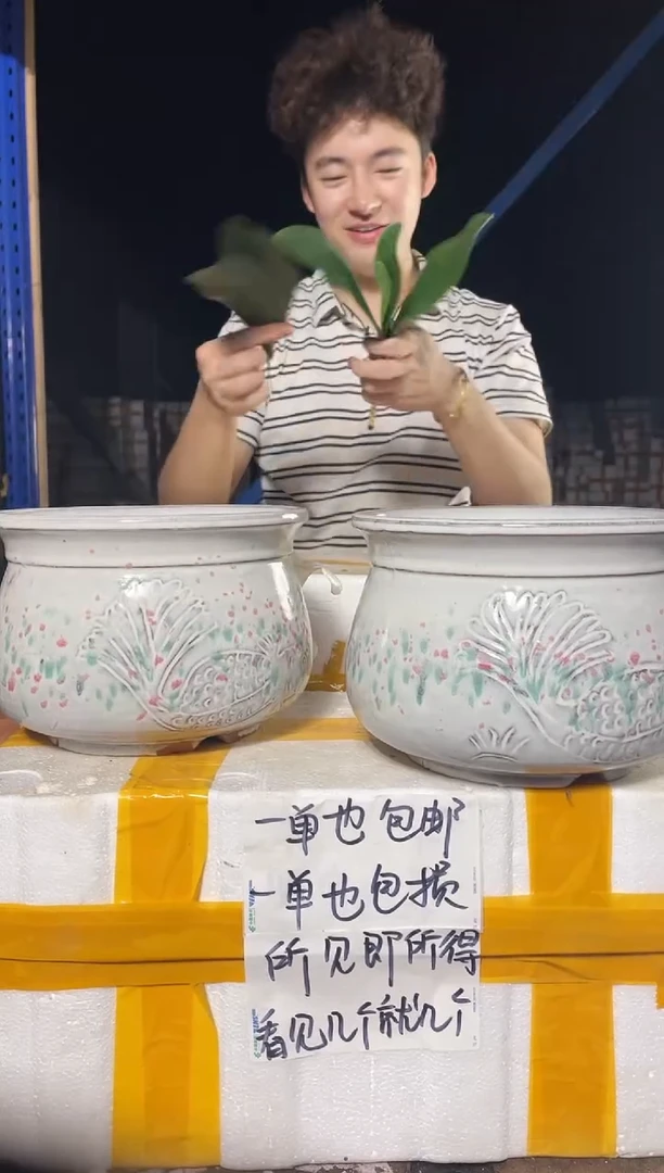 紫砂花盆紫砂花盆宜兴紫砂粗陶花盆20*15