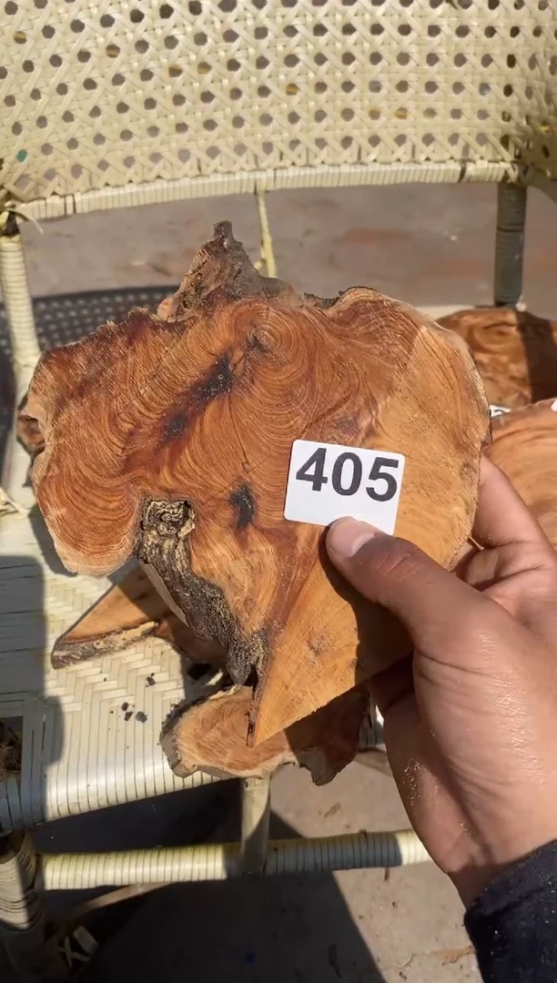 柏木（崖柏）太行山陈化崖柏一片