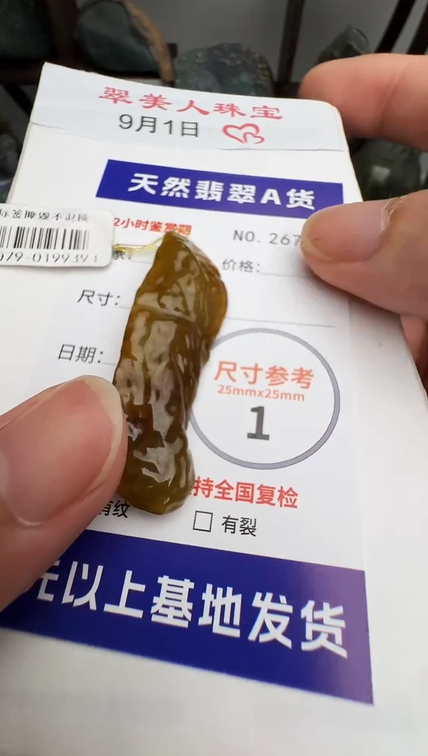 颈饰未镶嵌翡翠原石26761