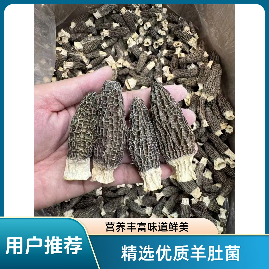 高山云南羊肚菌干产地直供无添加6-8厘米大个厚肉干货