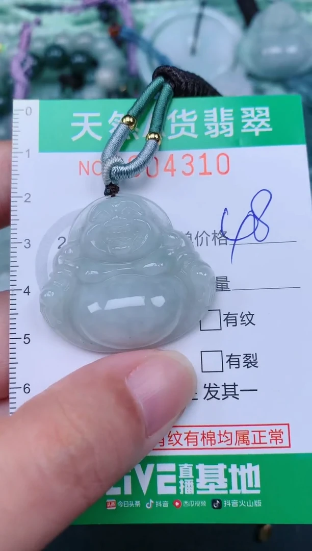 翡翠未镶嵌颈饰.0004310