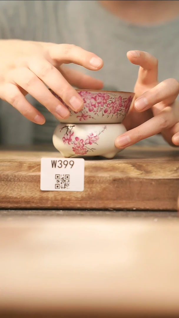 【经典福利】/ 茶漏@@W399