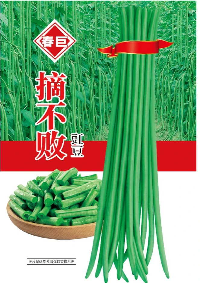 四季高产长豆角摘不败特长豇豆角种子绿豇豆角种子蔬菜种子大全