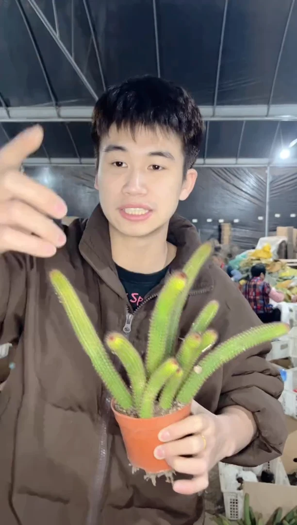 【闪购商品】多头垂钓金妞