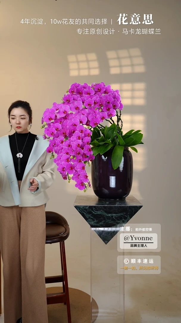 全部花朵055一物一拍蝴蝶兰艺术盆景