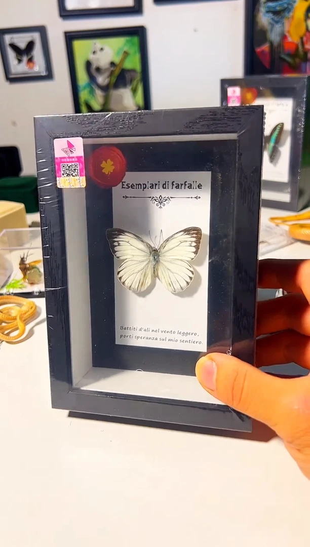 有机玻璃57373837