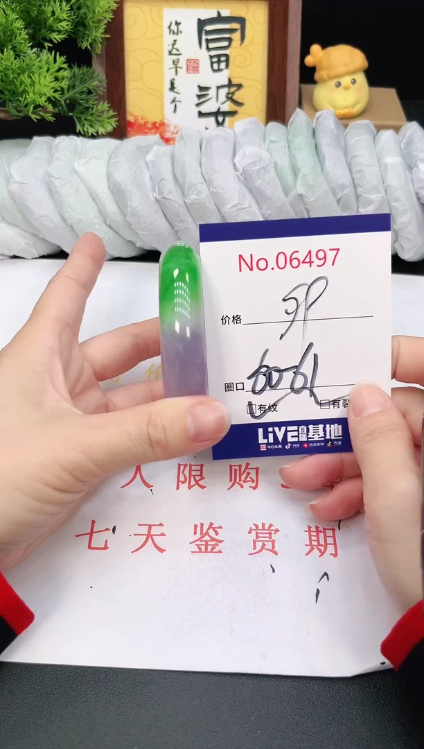 未镶嵌手镯翡翠6497