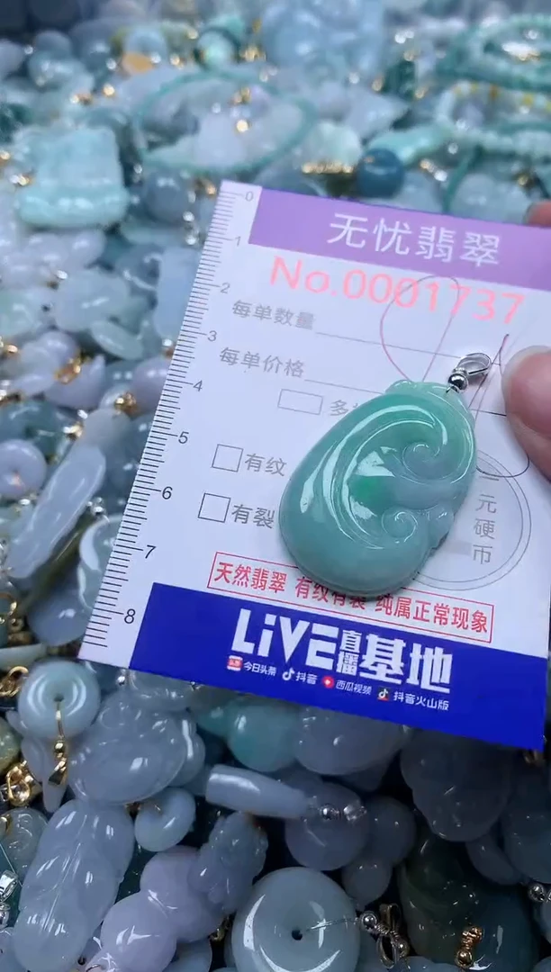 翡翠未镶嵌吊坠(不含链)1737