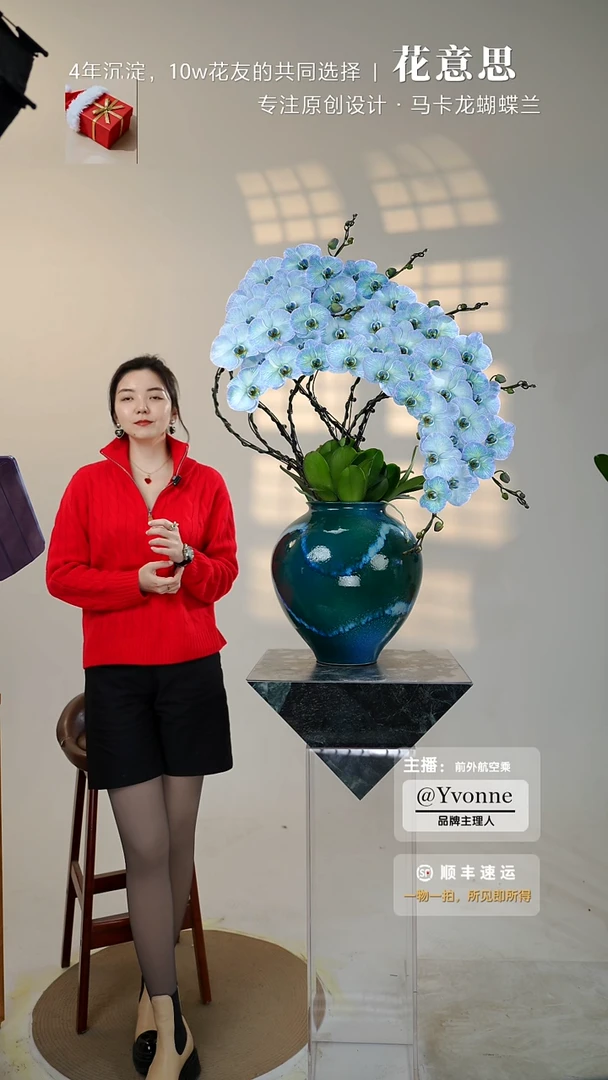 全部花朵068海豚/一物一拍蝴蝶兰艺术盆景